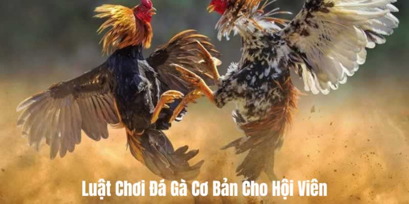 Phương thức thanh toán hoa hồng Sv88 - Sv88